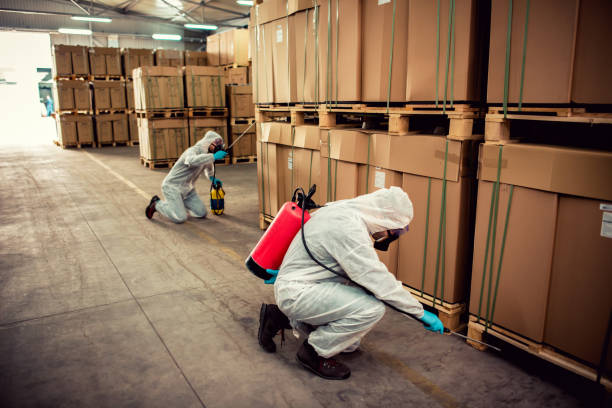 Pest Control Cost in Rock Falls, IL