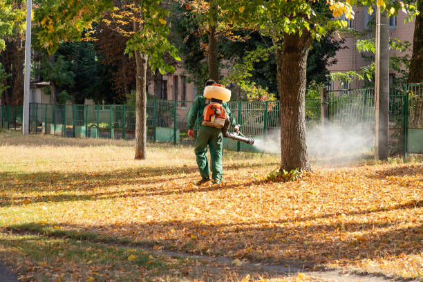 Best Pest Removal Services  in Rock Falls, IL